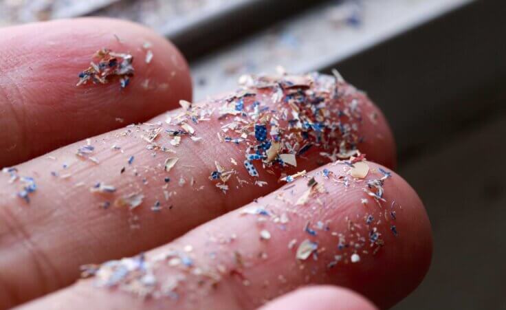 Close up side shot of microplastics on human hand. By Pcess609/stock.adobe.com