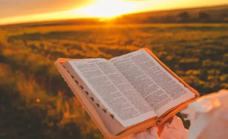 Person with a Bible in their hands on a field at sunset to illustrate someone coming to faith in Christ, such as Russell Brand, and studying God's word. By shine.graphics/stock.adobe.com